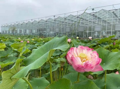 玻璃生態餐廳
